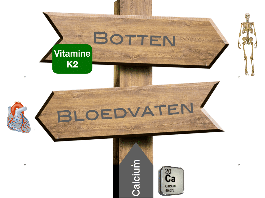 De rol van Vitamine K2 bij de verwerking-van Calcium