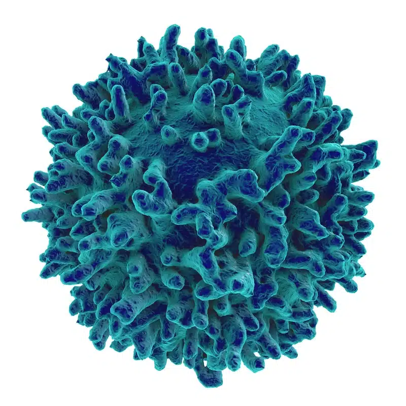 blauw witte bloedcell