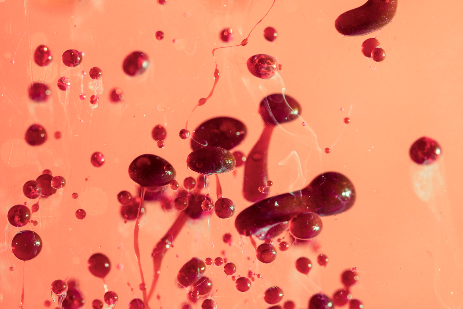 concepto abstracto salmon guijarros aceite