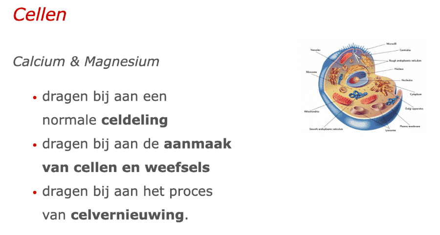Cellen