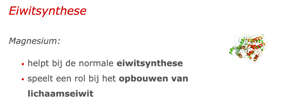Eiwitsynthese