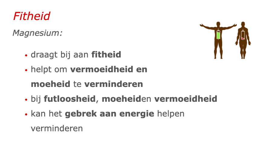 Fitheid