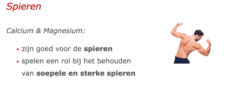 Spieren