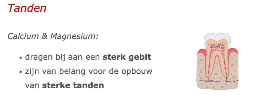 Tanden