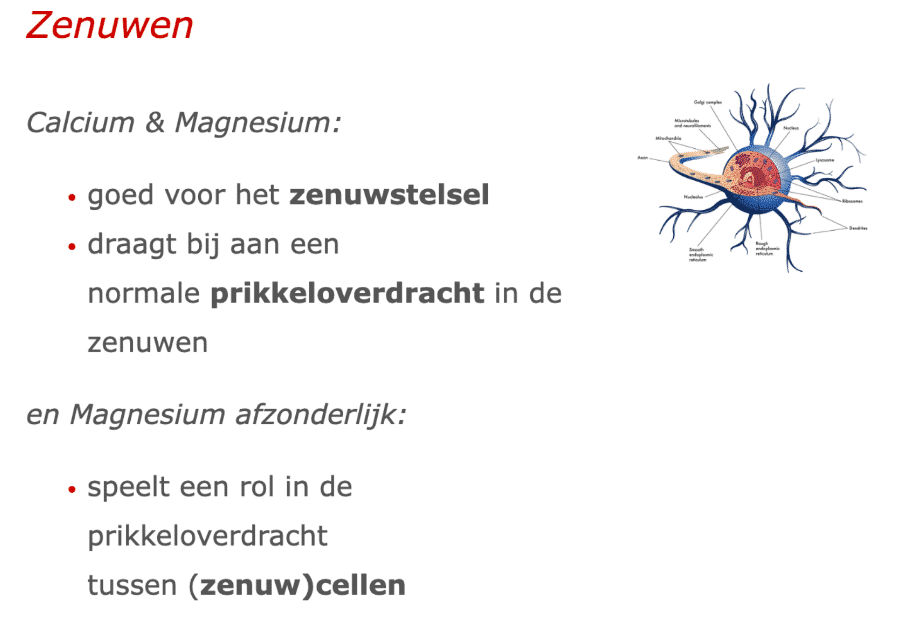 Zenuwen