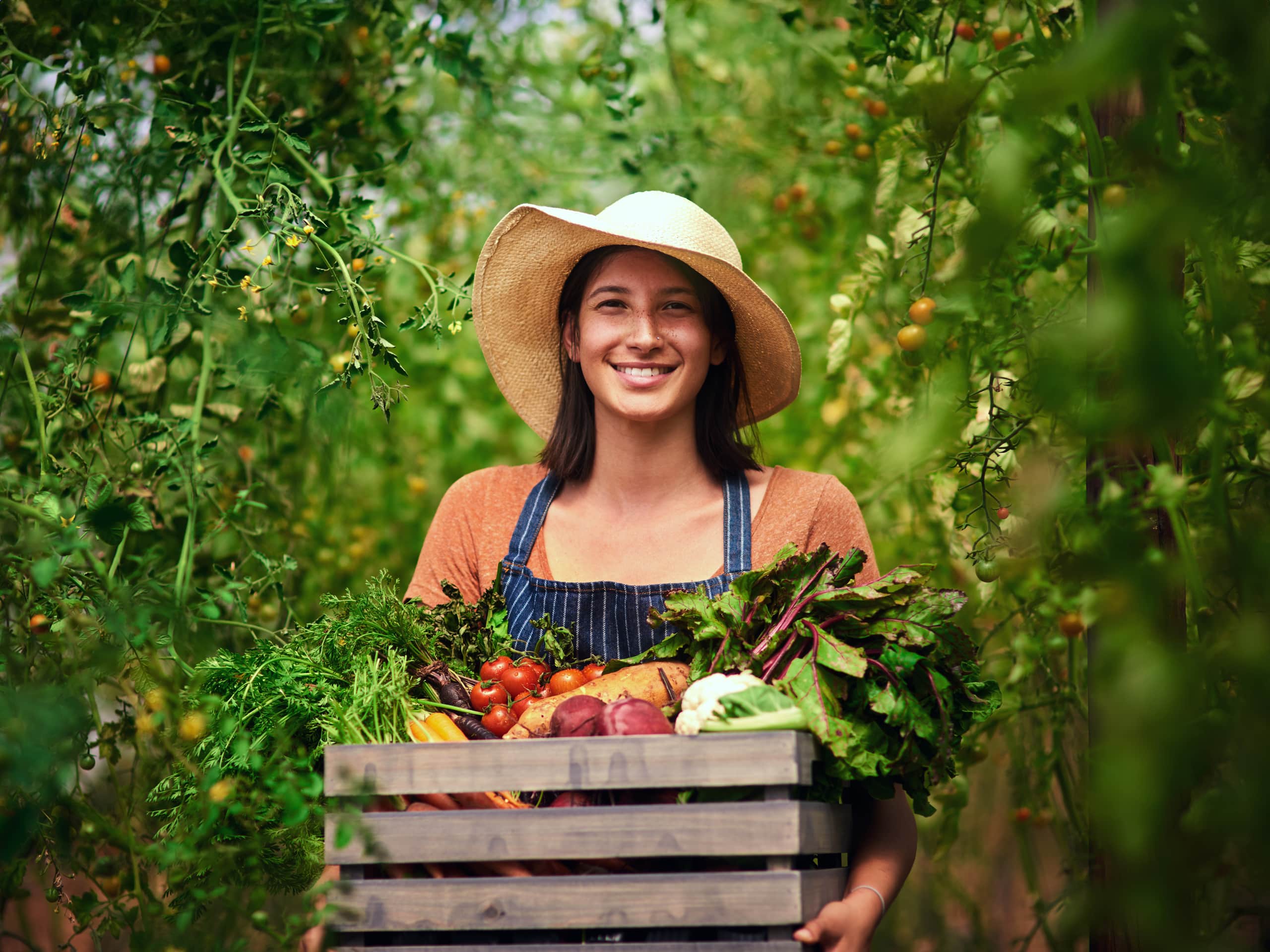 vrouw met het oogstseizoen voor verse groenten-is-in-volle-gang
