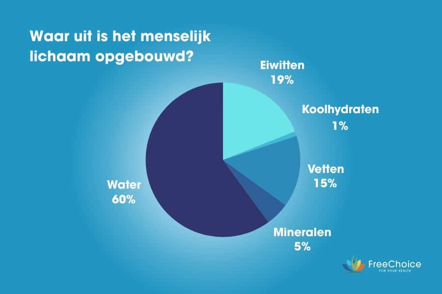 waat uit is het menselijk lichaam opgebouwd