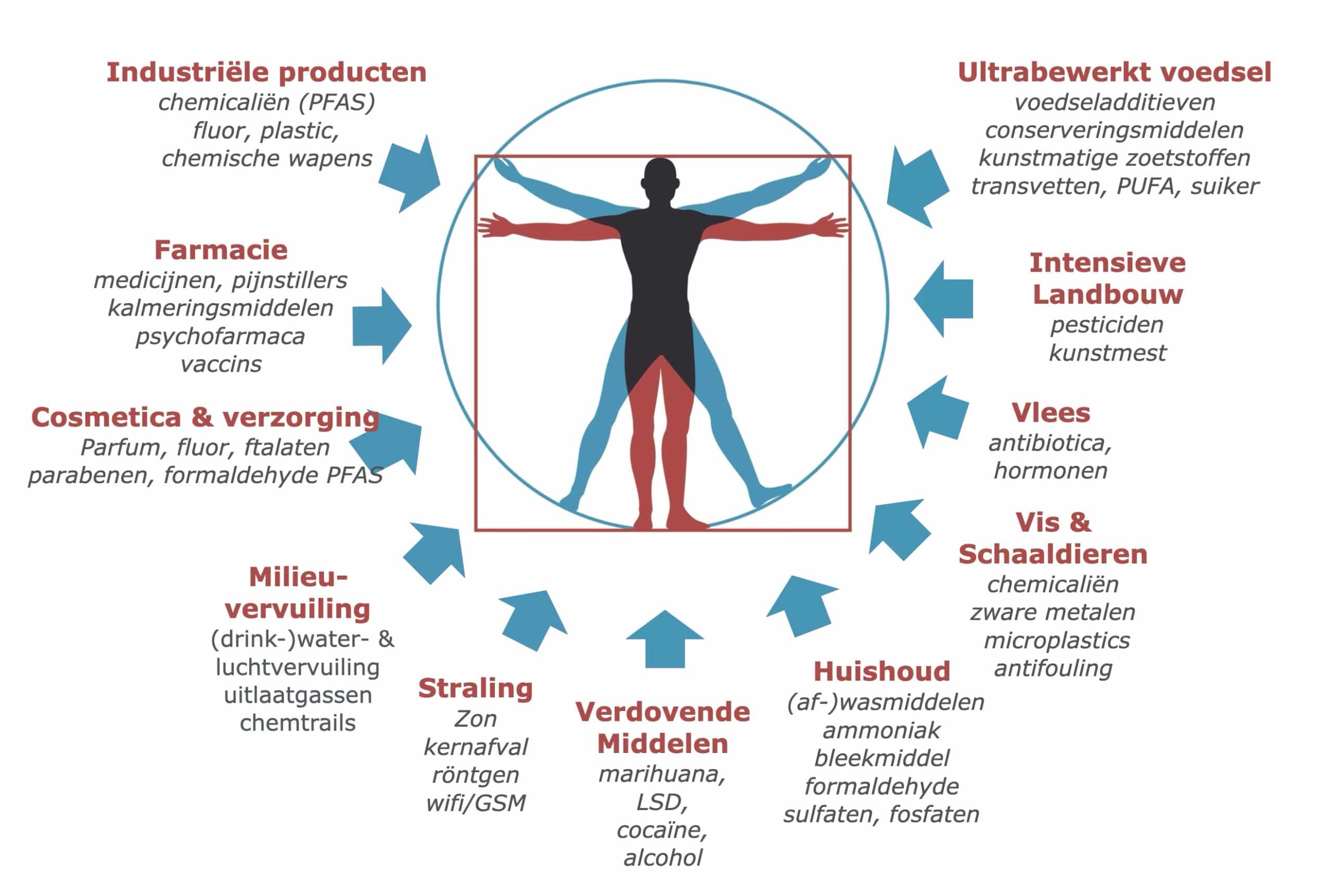 detox toxin in het lichaam