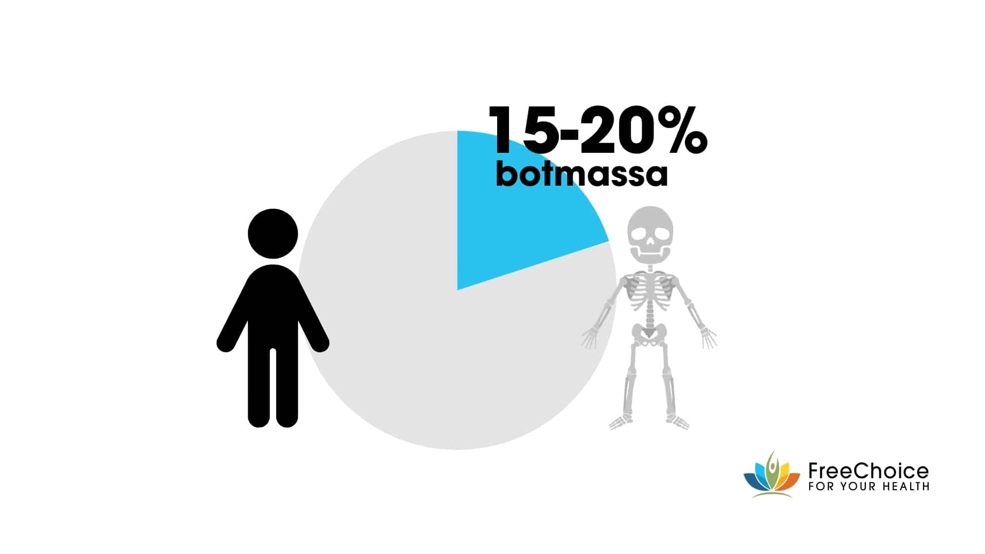 botten 20% van lichaam is bot