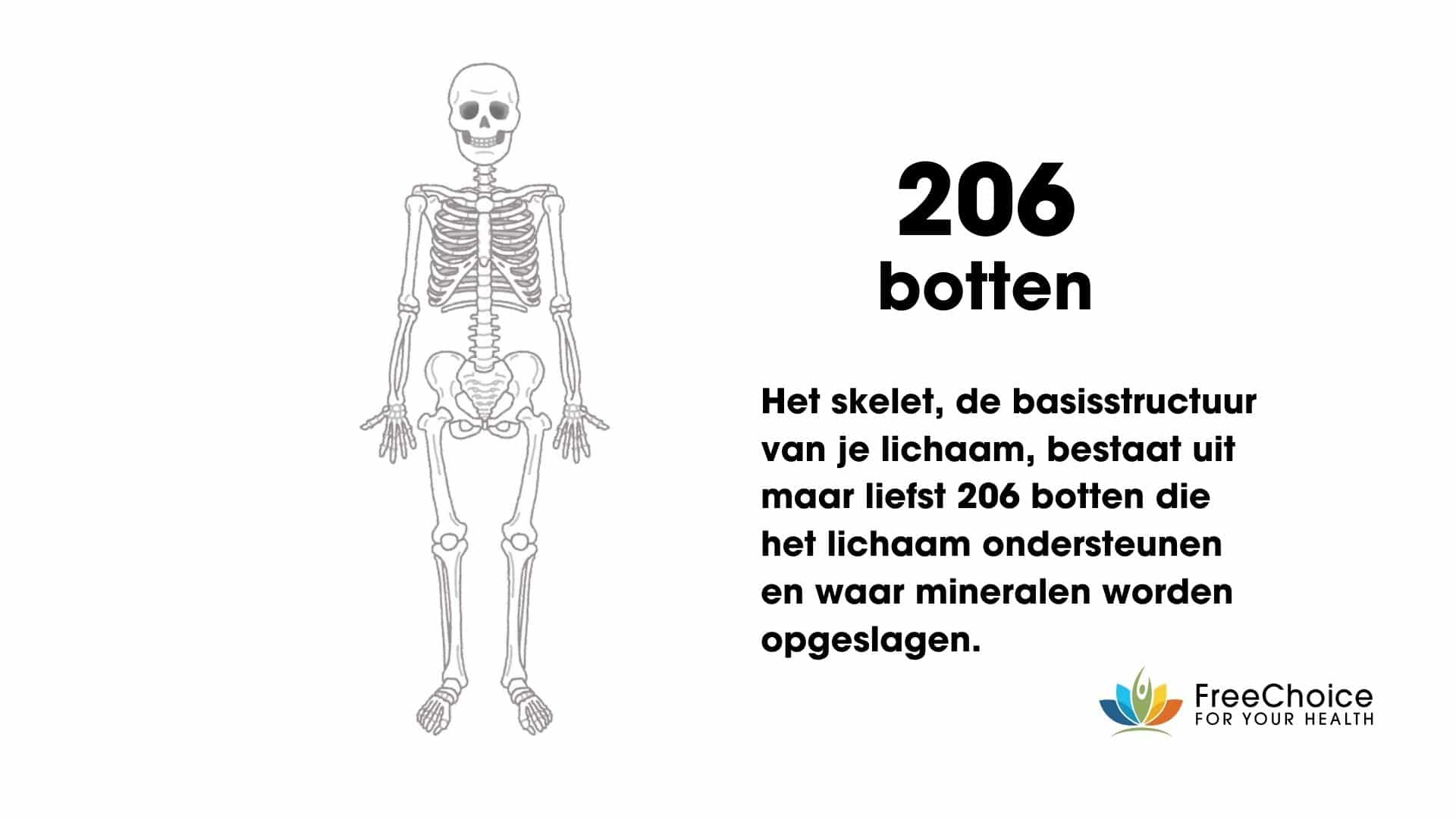 botten 206